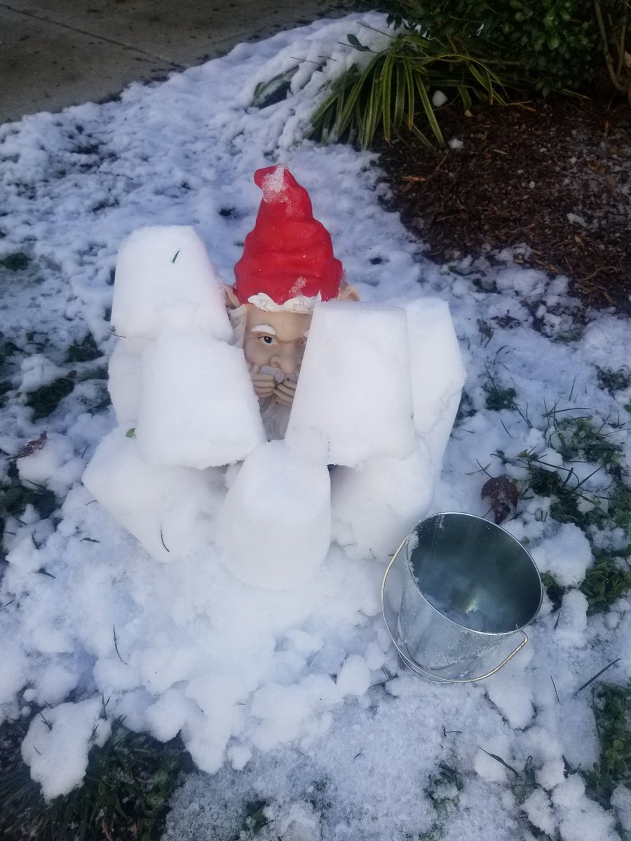 tymkinmama's tweet photo. Don't forget about your garden gnomes, they wanna have fun in the snow as well!!!🥰❤Do u wanna build an igloo? @HunterPrincipal @hunter_pta @HarveysHeroes @WCPSSTeam #snowday #Snowday2020 #TeamTymkin #JustkeepSwimming #437days https://t.co/S9g47CxkOY