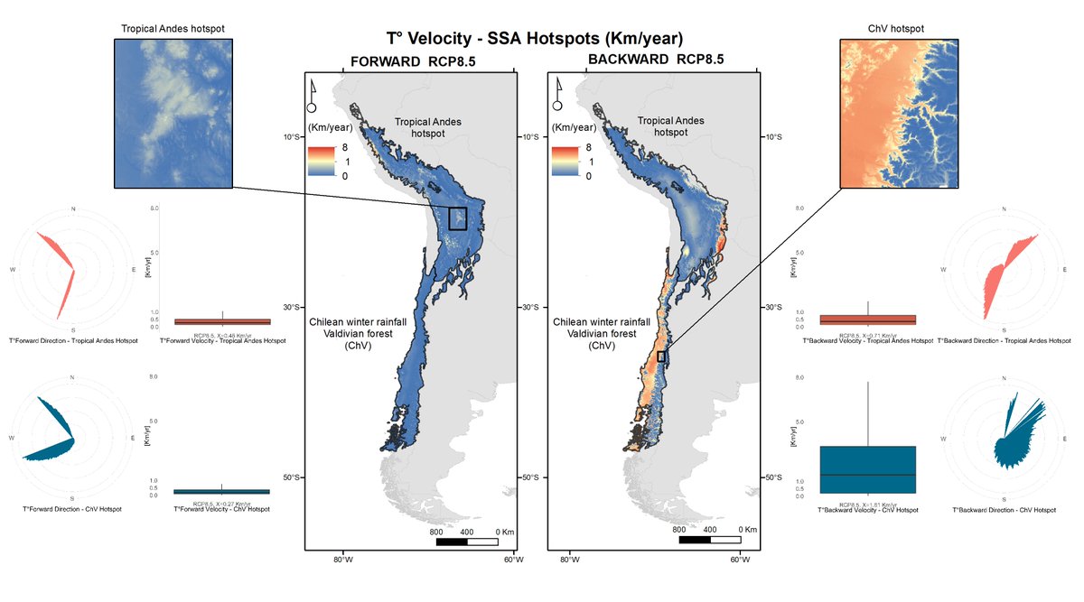 TarynBiogeo's tweet photo. New paper 🚨  | Regional Environmental Change | 
"Several rapid change areas are expected along the Tropical Andes and Central Chile hotspots that have important conservation implications for the region"
https://t.co/TG4EjOsKo0 https://t.co/32qWZSnIwq