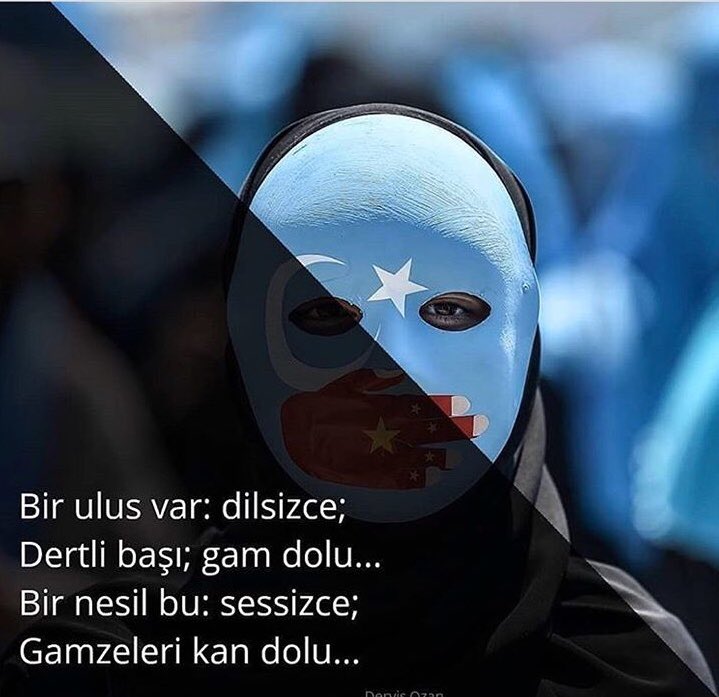 halitdolu (@halitdolu) on Twitter photo 