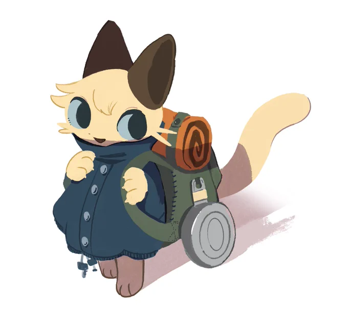 Camp  cat 