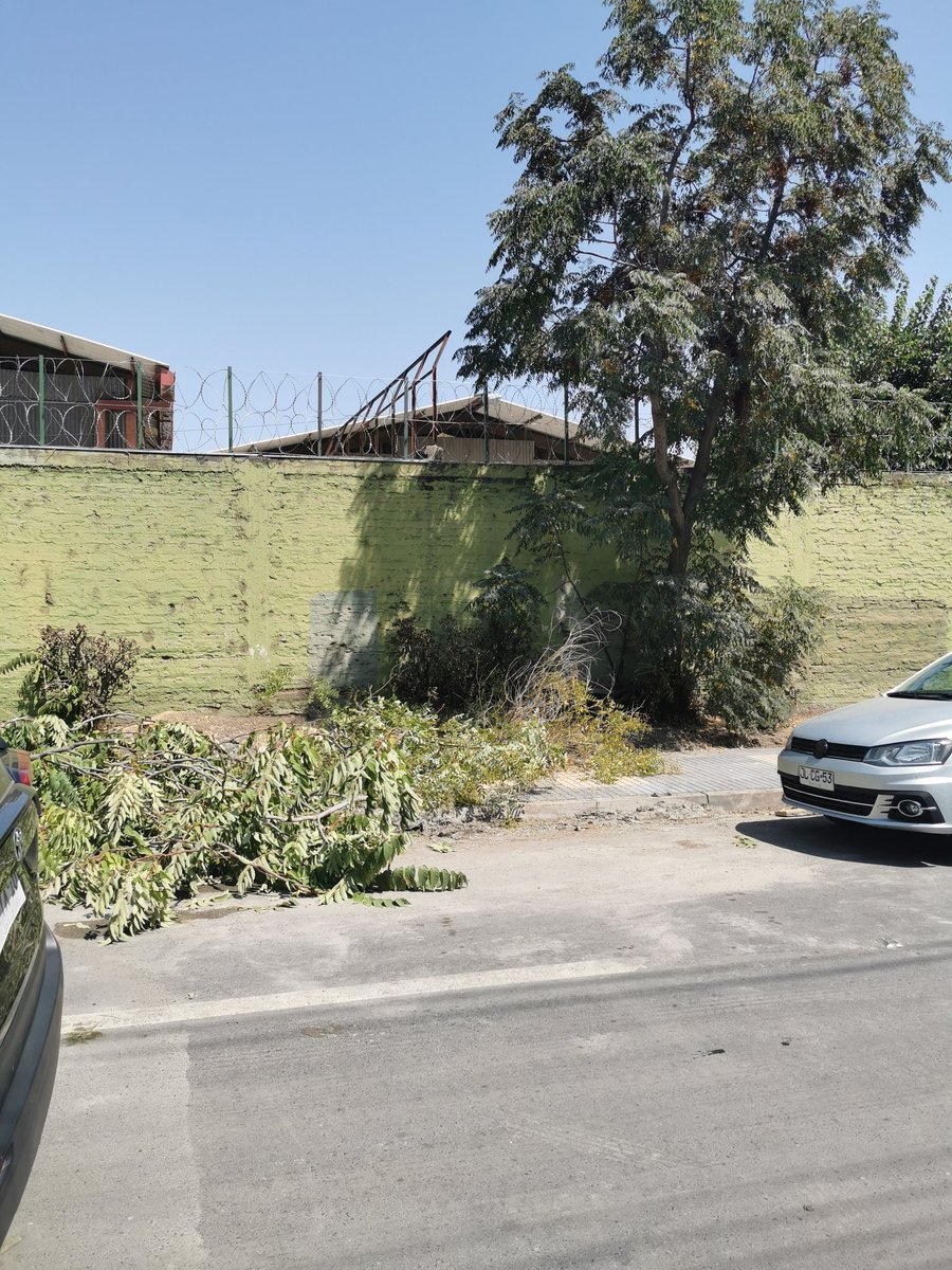 RodrigoLOrtiz's tweet photo. @MuniMacul Impresentable... Botando árboles sin sentido, en un arreglo en el que se comprometieron a preservar árboles. Donde esta la preocupación y fiscalización de la municipalidad? @tv_monica @Mega @CHVNoticias @canal13 @Minvu https://t.co/2LAXyaRmCo