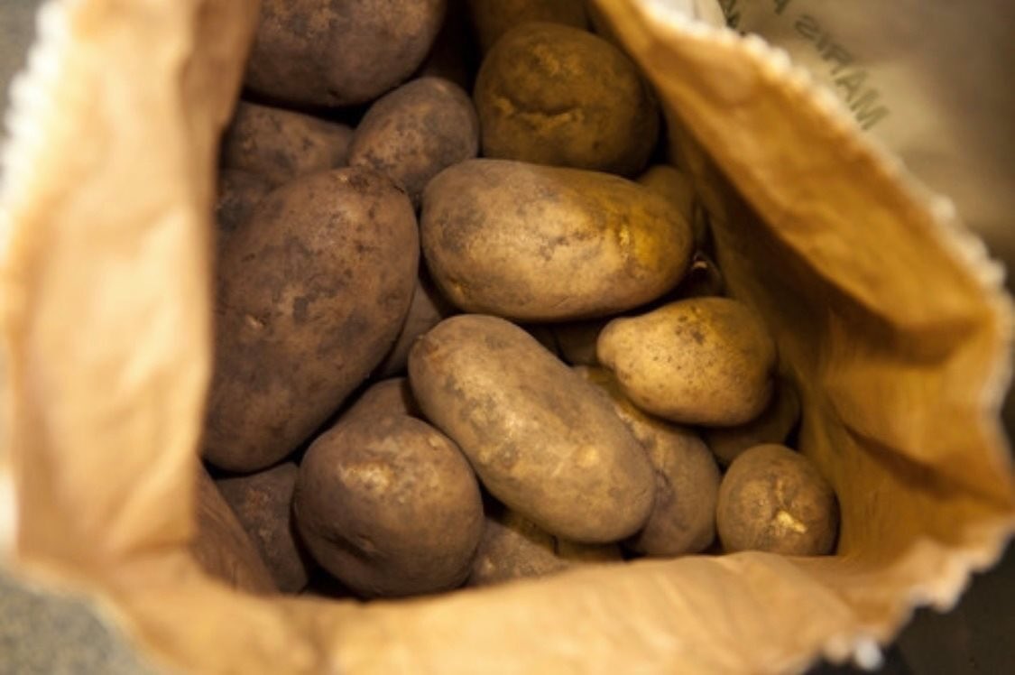 AtlanticBay2018's tweet photo. Potatoes are such a versatile food. But we think the best way to enjoy them is chipped and fried. Next to some fresh fish with a sprinkle of salt and a ton of vinegar. Saving a handful for a white slice of buttered bread! Delicious 😋 
How do you eat yours? 

#nationalchipweek https://t.co/nSsb3a4hCM