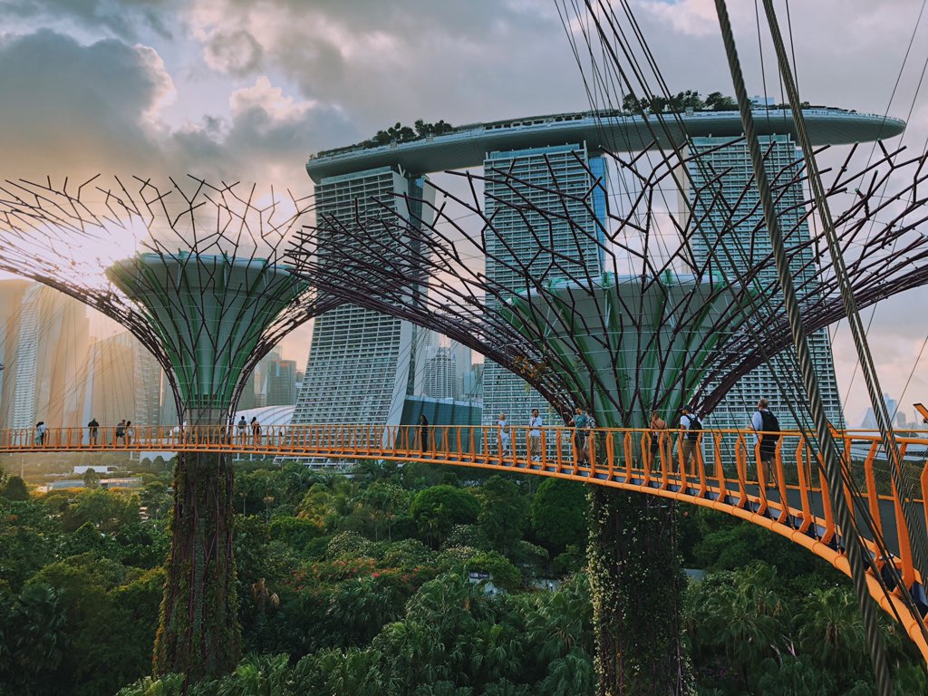 Onedayonetravel's tweet photo. #Singapour l’éblouissante 😍
Encore une journée de dingue dans la #villejardin qui porte bien son nom quand tu te balades dans les jardins futuristes de #gardensbytheday au pied du célèbre hôtel #MarinaBaySands 💚
#AirFranceTravelGuide #singapore #blogvoyage #onedayonetravel https://t.co/62rQLDskLf