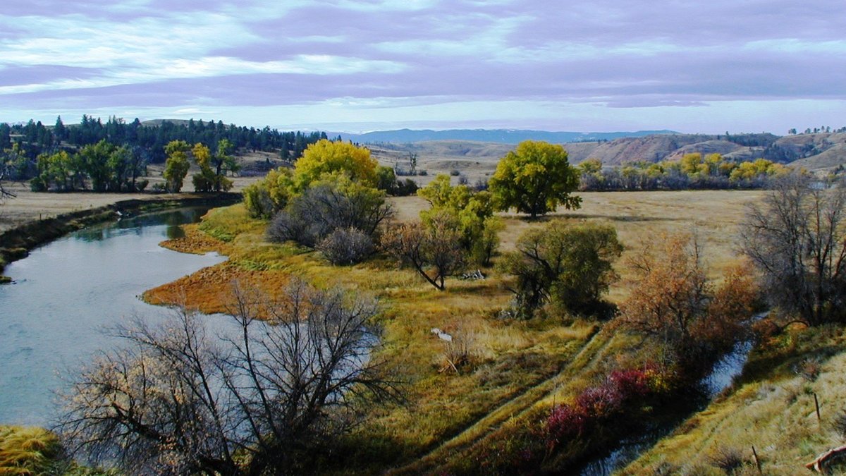 HuntersLead's tweet photo. "USFWS Requests Public Input on Increasing Access to Federal Lands: The U.S. Fish and Wildlife Service is taking sportsmen’s requests to heart." #HuntersLead @SecBernhardt @DOIPressSec @USFWSDirector #openaccess #huntingaccess #landlockedpubliclands—https://t.co/MpUSZaf0Hr— https://t.co/tLDPrmjTas