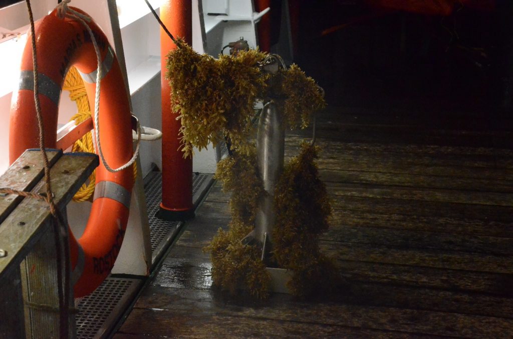 GEOMAR_en's tweet photo. #Expedition #MSM89 #EUREC4A  of #RV_Maria_S_Merian ended yesterday. Finally, here is a last #Blog_article about Eddy2 and little monsters:

https://t.co/E4v3B5wqrd

If you can't remember Eddy1, read this post:

https://t.co/q8XG2sNNtQ https://t.co/dYeZ5E3bJr