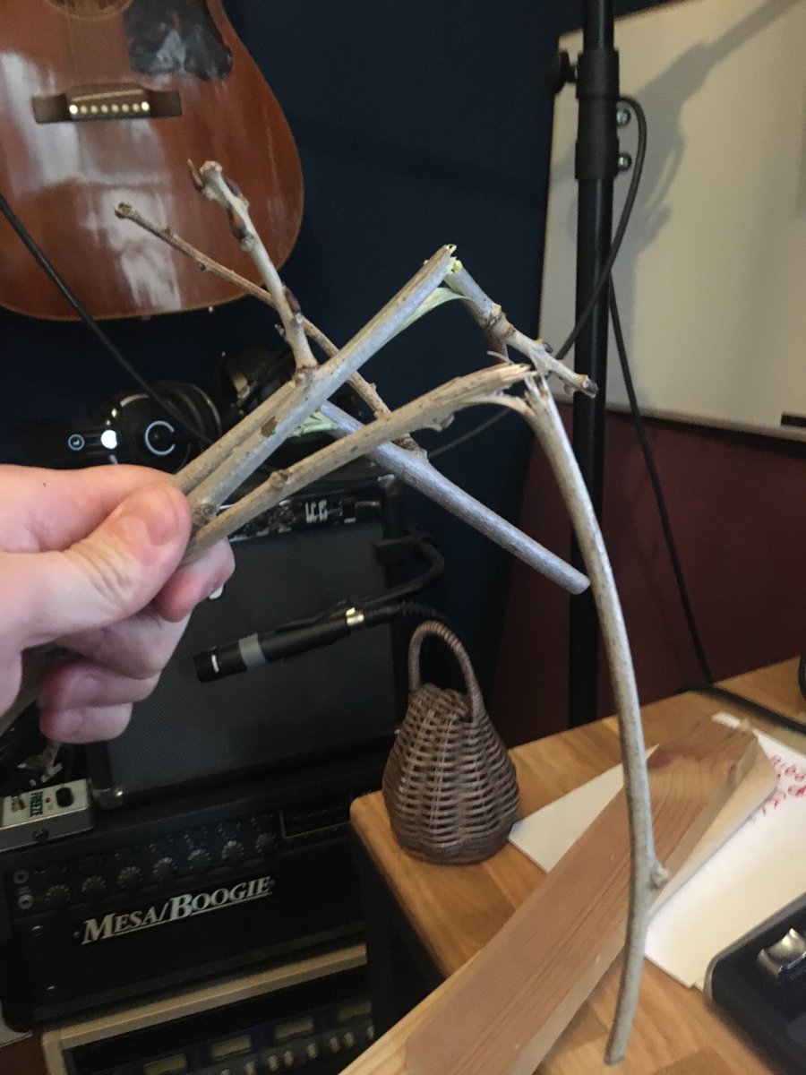 Dom James tweet media