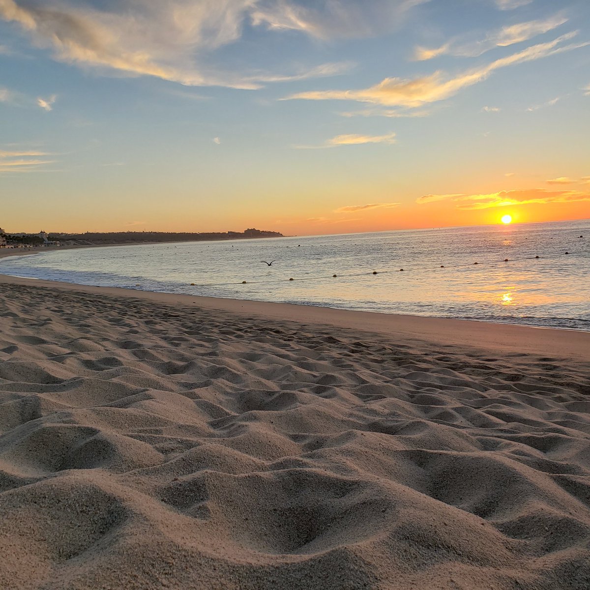 Ah Mexico you never disappoint.