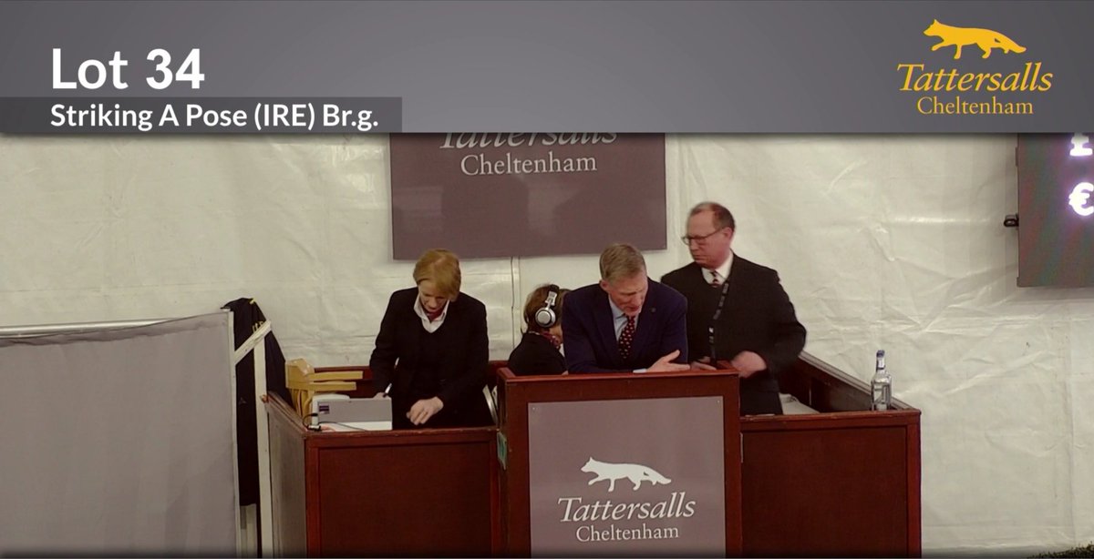 GandTRacing's tweet photo. Lot 34 - Striking A Pose sells for £95,000 at the @tattscheltenham Sales to Peter & Ross Doyle Bloodstock (@Doyle_Racing)/Colin Tizzard (@colintizzard). The very best of luck for the future to his new connections, we look forward to following his progress. #BritishPointers https://t.co/mbqwV0zsJU