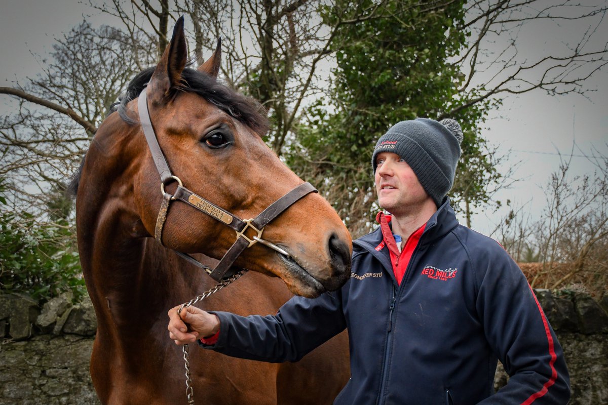 rpbloodstock's tweet photo. Say hello to Austrian School!
Tiger Roll's younger half-brother by Teofilo is covering his first book of mares at a €3,000 fee at Robert Honner's Clongiffen Stud
Photos: Alex Cairns @ACHorseRacing / ITM @IREthoroughbred https://t.co/PTeUe5QA65