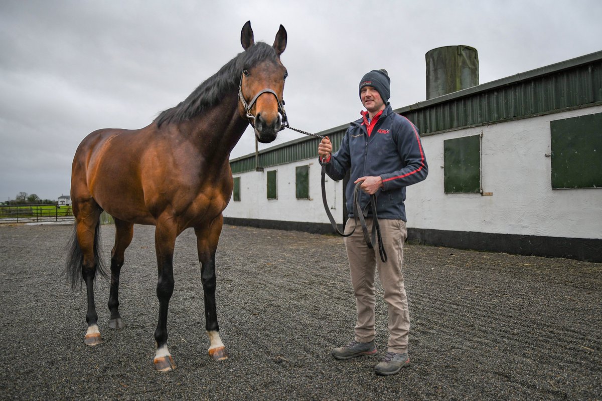 rpbloodstock's tweet photo. Say hello to Austrian School!
Tiger Roll's younger half-brother by Teofilo is covering his first book of mares at a €3,000 fee at Robert Honner's Clongiffen Stud
Photos: Alex Cairns @ACHorseRacing / ITM @IREthoroughbred https://t.co/PTeUe5QA65