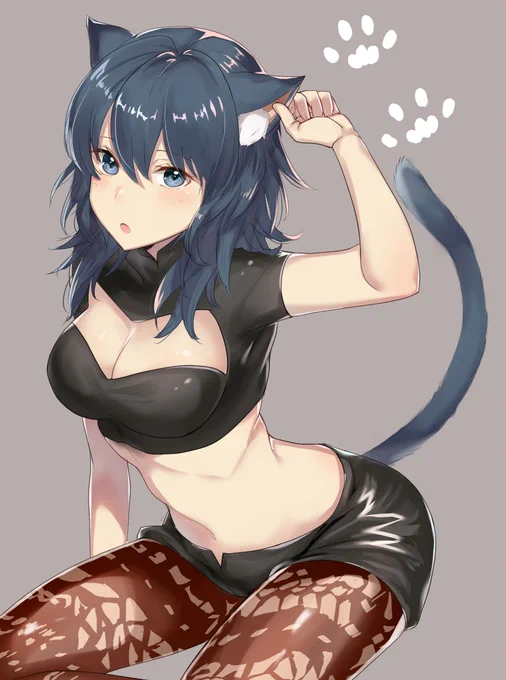 #猫の日 