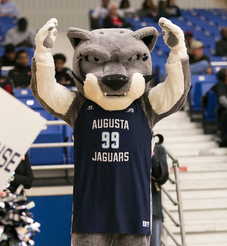 Augustus is all ready for the #AUGHOMECOMING basketball games. Go Jags! 🐾🏀