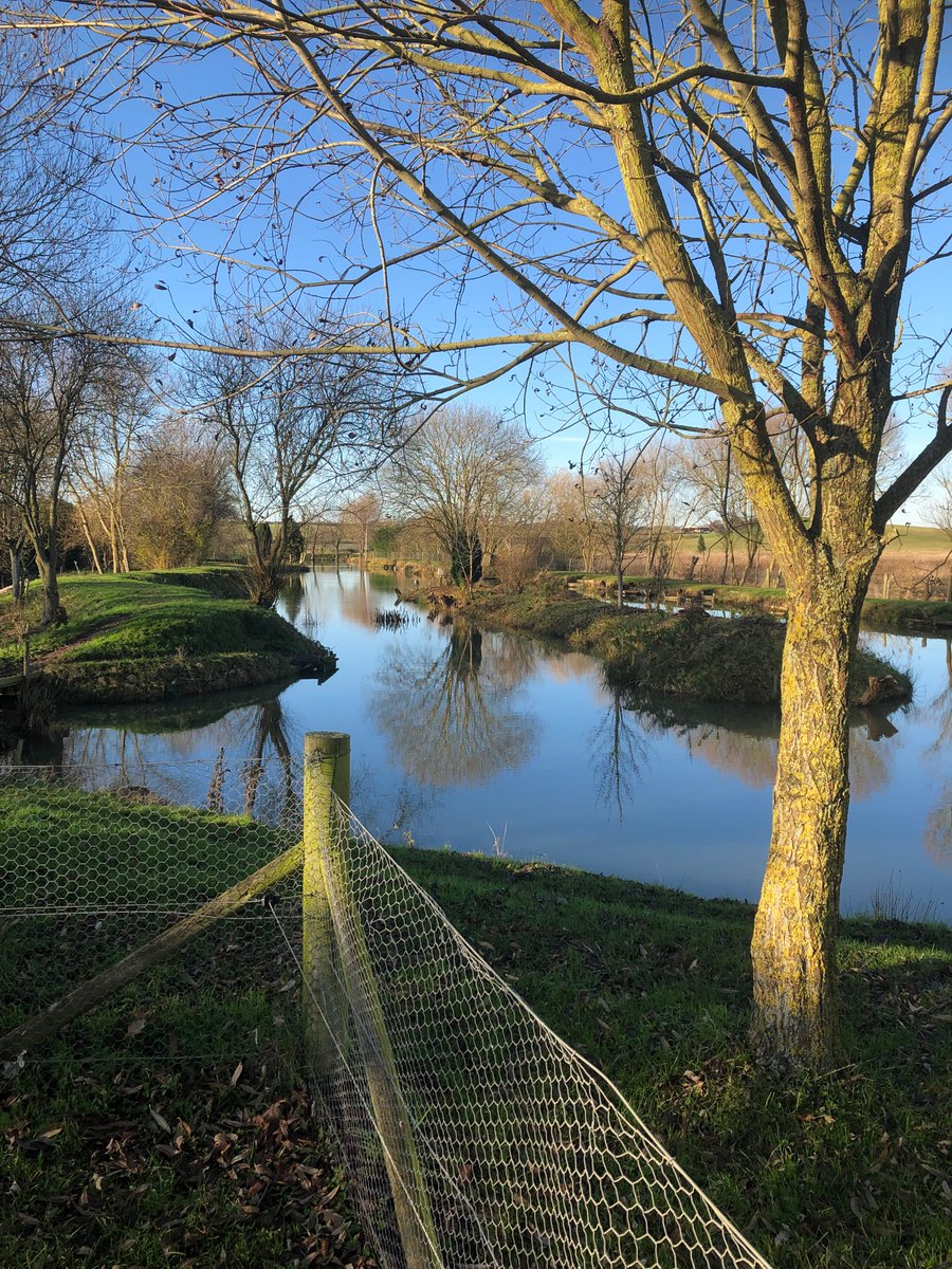 Parklands_CC's tweet photo. Can’t get better than a days fishing 
We even have a cafe on site with a great breakfast. 
#parklandscaravanpark https://t.co/CjnpPeEdbn