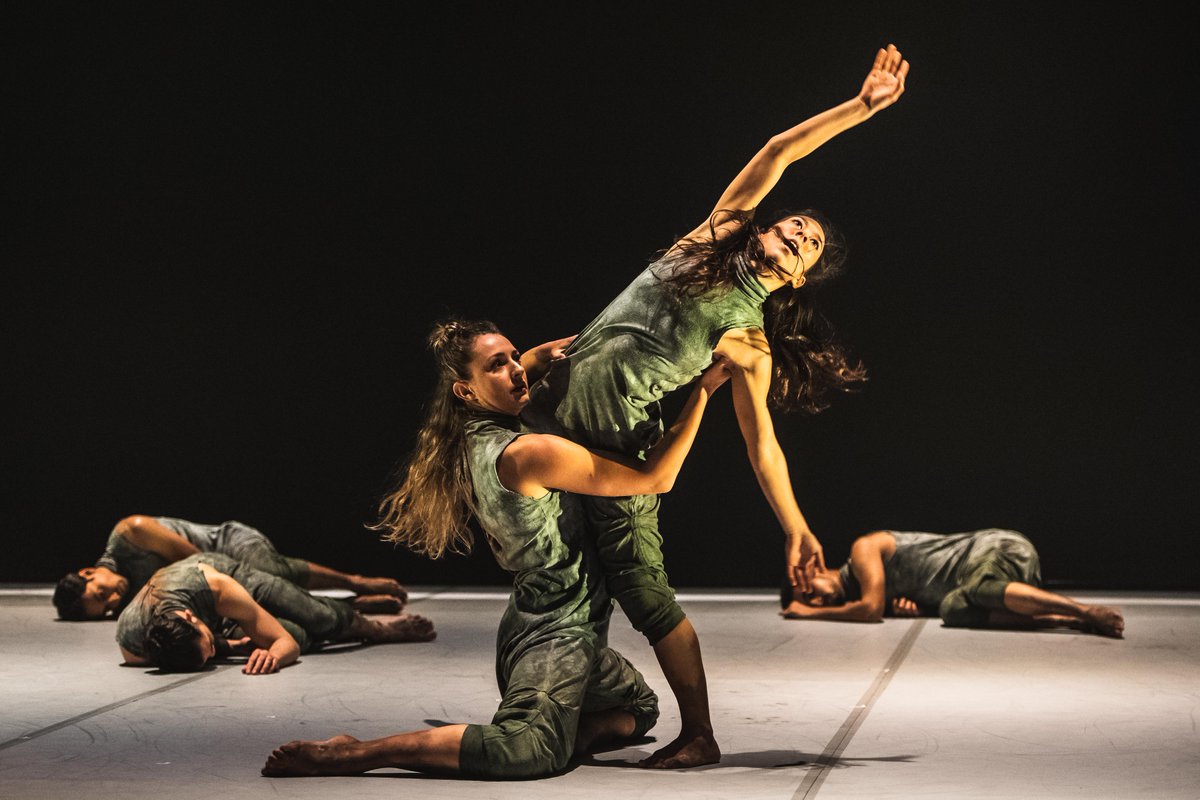 Phoenix Dance Theatre tweet media