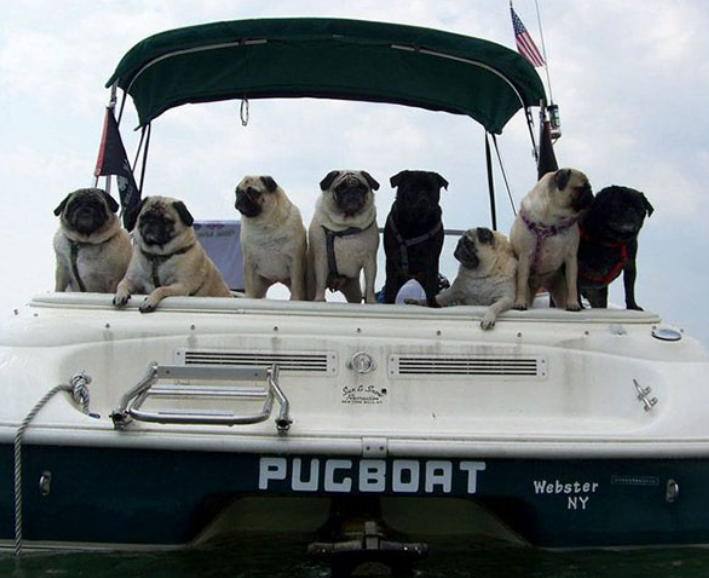 Its #funnyfriday at the #LondonBoatShow

Don't forget to get your discounted tickets online while they last at ontarioboatshows.com