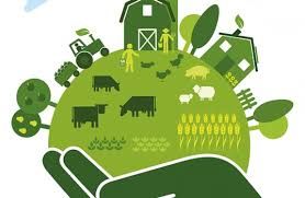 Join us for our March Networking event, <a href="/VolleyBristol/">The Volley</a> Thurs 19th from 5.30pm. Focus of this event is sustainability in the Food sector and we'll be joined by a speaker from <a href="/UniofBath/">University of Bath</a> and SMEs from <a href="/mapsandstats/">Geofutures</a> &amp; @BearpitSocial. Free for all to attend: buff.ly/37Evanv