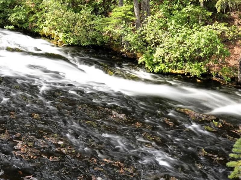 OregonWildlands's tweet photo. .@RonWyden received more than 15,000 nominations totaling more than 4,000 river miles as part of his #WildAndScenicOregon initiative. Thank you, Senator, for your leadership in preserving Oregon's waterways for future generations! https://t.co/KzAa8XVuue #WildAndScenic https://t.co/NrlHmqAbpY