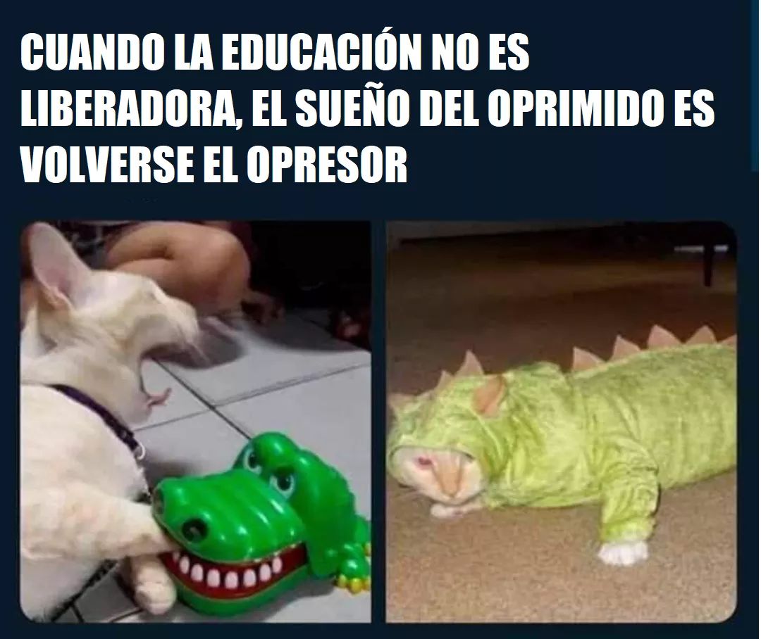 Arboldeuvas's tweet photo. https://t.co/PcBwLZqgRK
