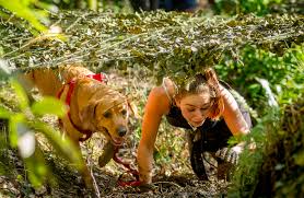 numberite's tweet photo. Looking forward to my first Muddy Mutts event on Sunday with my dog Holly @AIDIPPLEPEN @RiverDartCP #giveadogahome #animalsindistress #giveacatahome #charity #muddymutts https://t.co/X9zAWiFdRu
