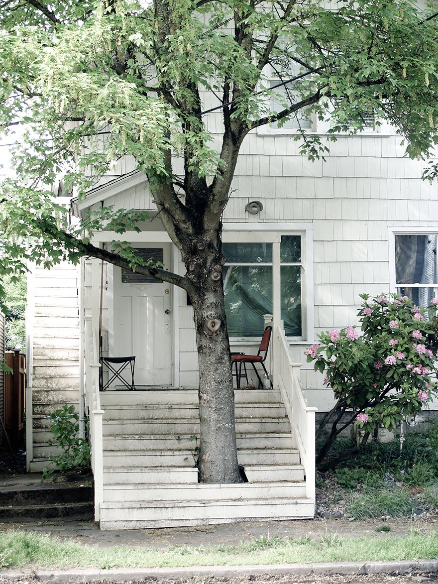 presentcorrect's tweet photo. 34 buildings built around trees.

https://t.co/E7KgD9d3tX https://t.co/gIUGnezZZo