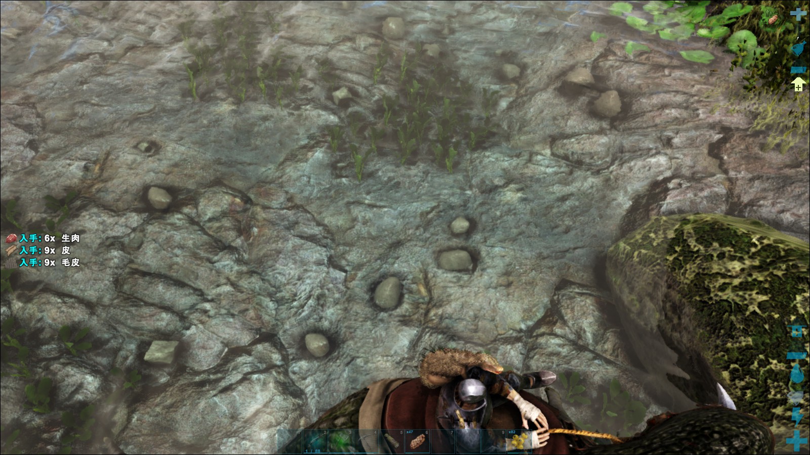 木島 平八郎 Ark セメントが欲しいがキチンやケラチンを集めるのは面倒なのでビーバー の巣付近にカルノタウルス駐屯地を作成 地元ビーバー達にはセメント回収のために巣を作っては壊される賽の河原業務を斡旋 カルノ君達の名前は 彼らも俺も頭が悪く