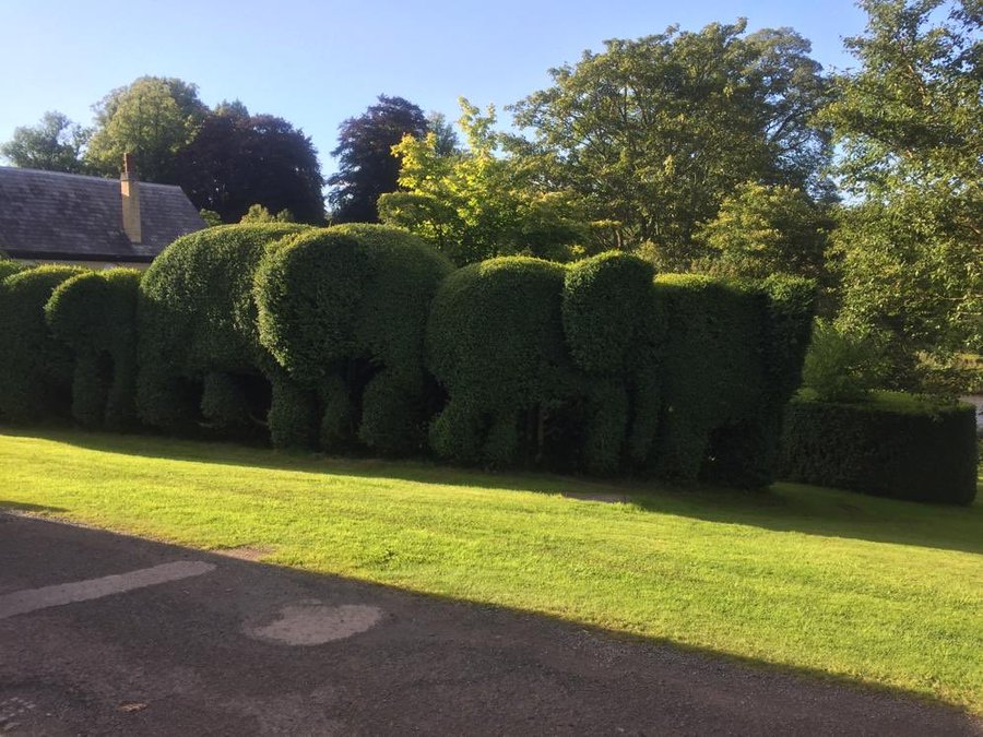 ERTGhxjXYAAMnix?format=jpg&name=900x900