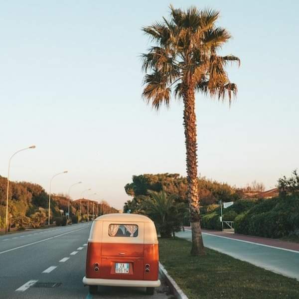5iveeK's tweet photo. Yes to more travel. https://t.co/2MJtmhA9rp