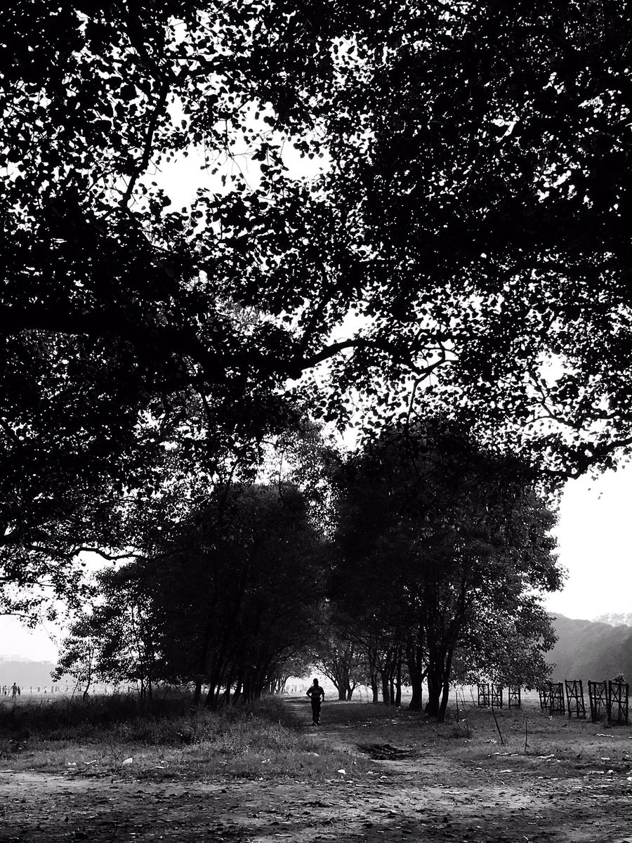 tattvaah's tweet photo. #blackandwhitephotography #blackandwhite_photos #bnw_captures #bnw #PicOfTheDay #PhotoOfTheDay #picture #silhouette #urbanphotography #streetphotography #StreetCreatures #monochrome #light https://t.co/caCLIh1G2u