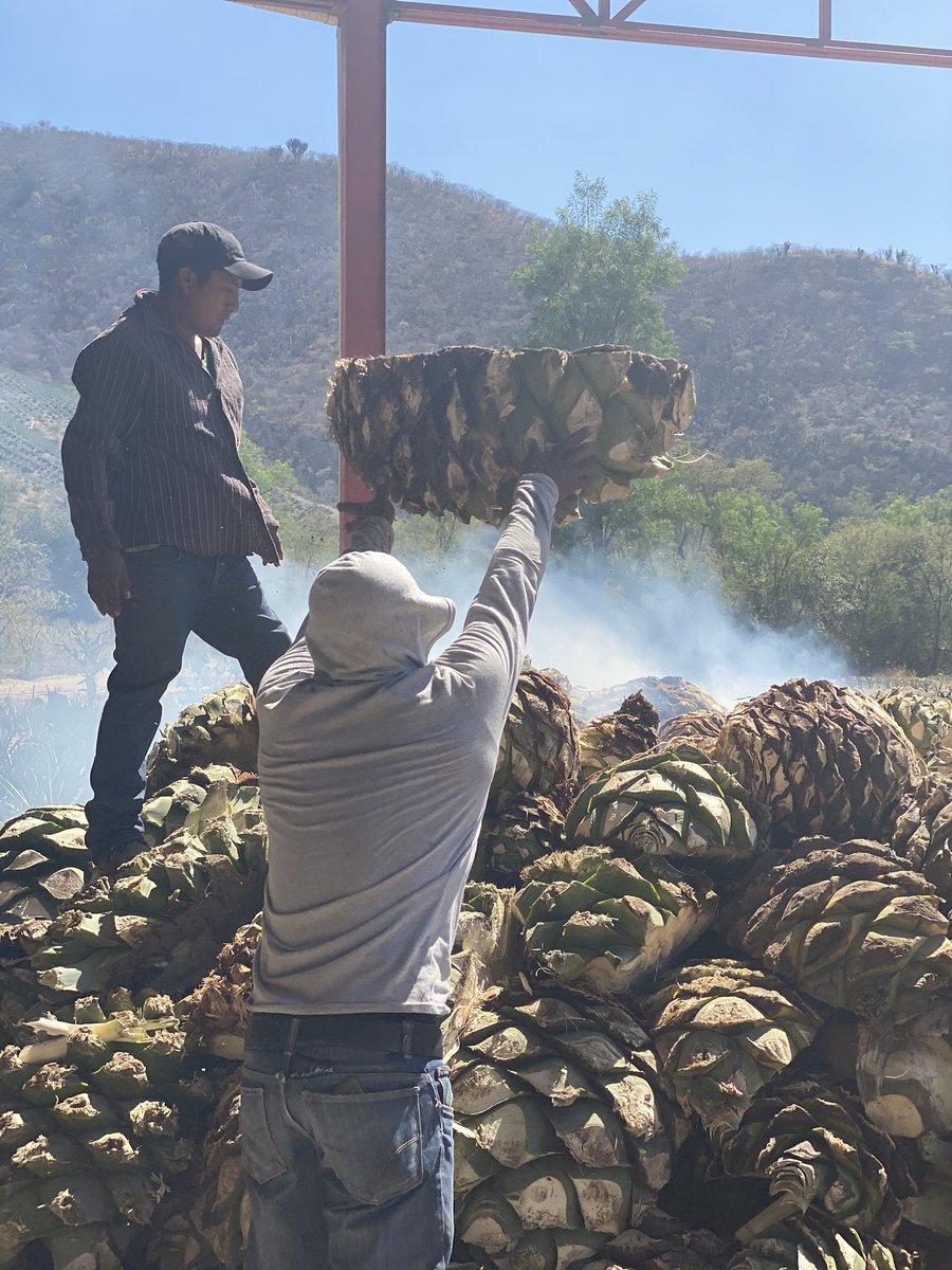 Jon Anders tweet media