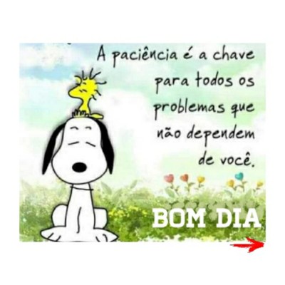 leninha on Twitter: leninha on Twitter: