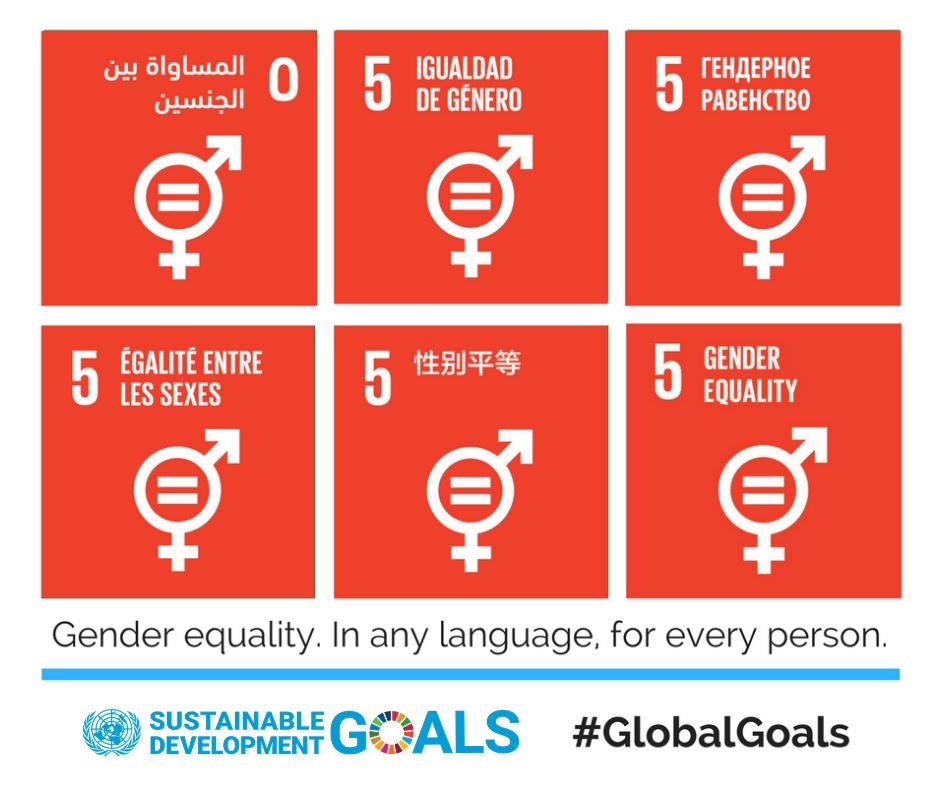 yarmuck's tweet photo. In any language!!! #equality #SSG5 @UNinKuwait @UN_Women @SDGoals https://t.co/vD6a2qTKhG