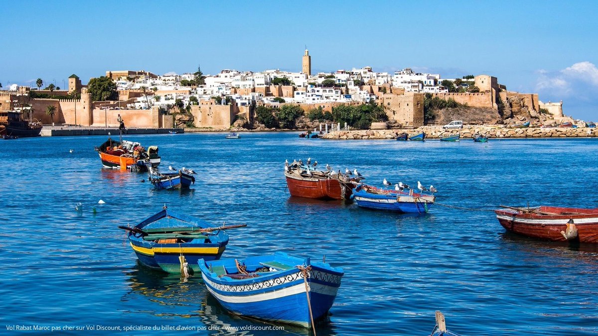 moroccotouring_'s tweet photo. Rabat, city and capital of Morocco #Morocco #rabat #hassan #Tower #udayas #architecture #culture #Heritage #touches #andalusia #gardens #modern #authenticity #landscape #visit #explore #charm #Stunning #liveit https://t.co/Z4gqsMkvbG