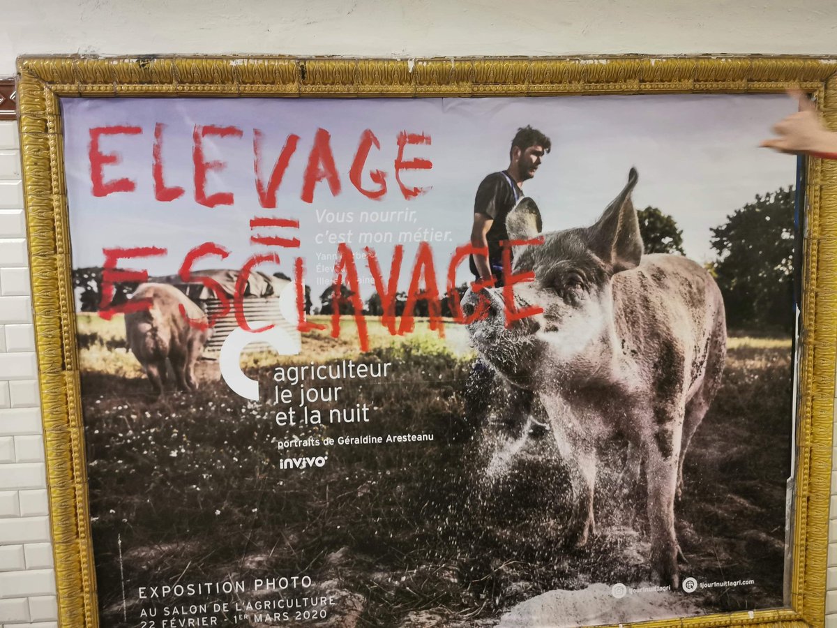 lesfemellistes's tweet photo. Le salon du père de tous les esclavages @Salondelagri ouvre ses portes demain. 
Pour abolir l'esclavage liberons les esclaves !
#ÉlevageAbolition #Freedomcantwait #openthefarms https://t.co/wkQARc7OBl