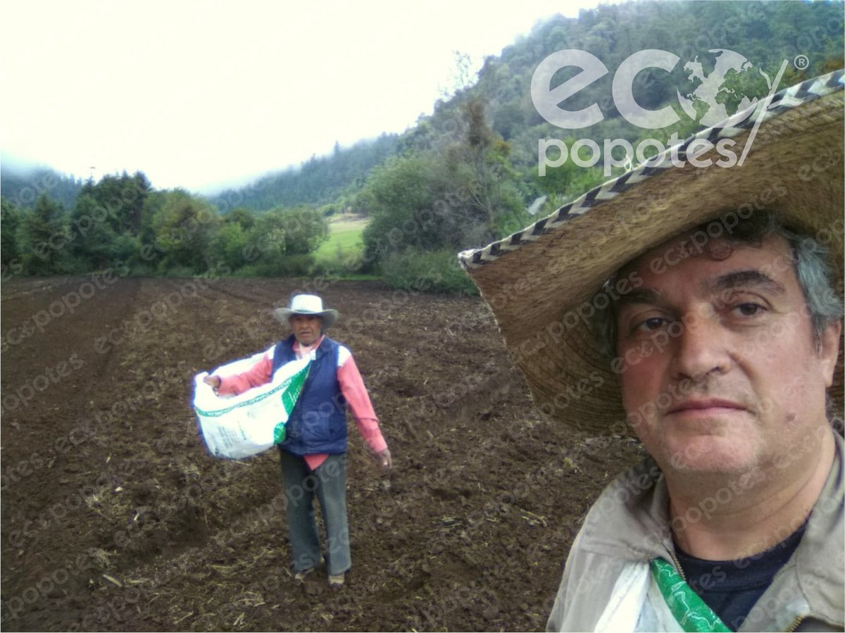 Ecopopotes tweet media