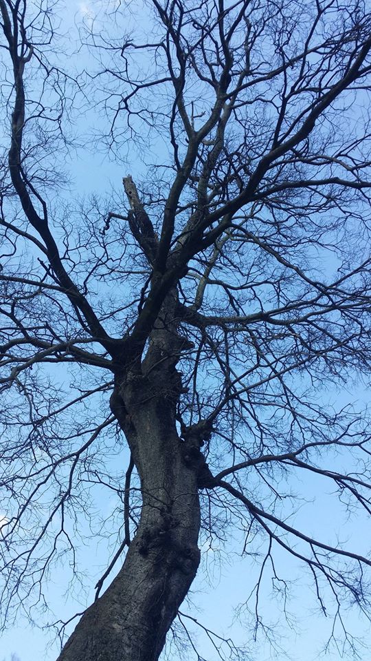 텅빈 하늘에 
가득찬 아집.독선.오만.
지나고 나니 ...
언제나 그렇듯 내 탓이다.
그것이 아프다.