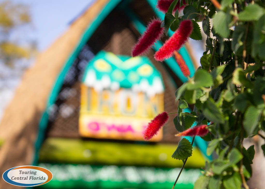 TourCentralFL's tweet photo. Spring is just around the corner...
#IronGwazi @BuschGardens #BGTProject2020 #RMCGwazi #Gwazi #BuschGardens #2020Rising https://t.co/aaNYVzsNaF