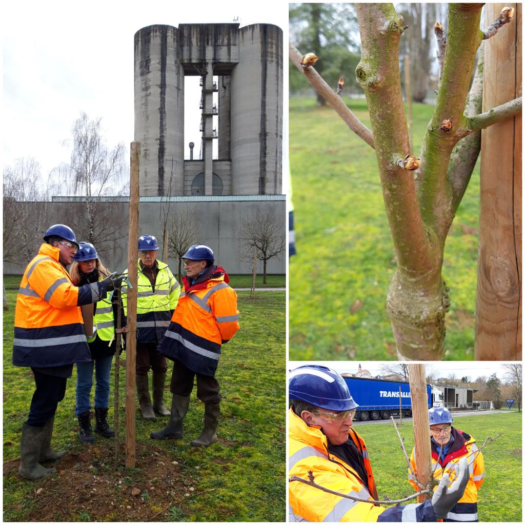GMichallet's tweet photo. [Biodiversité] 🍏 Visite du verger conservatoire de la cimenterie @GroupeVicat de Xeuilley avec les #CroqueursdePommes de Lorraine... les travaux 2020 sont programmés ! #odysséevicat https://t.co/oKeaRy0nOC