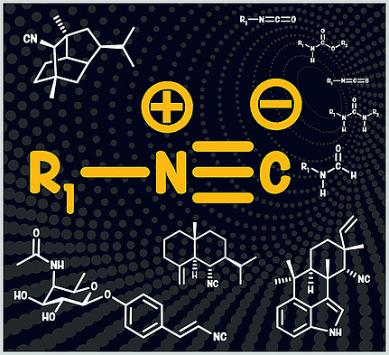 Zhang, Evanno and Poupon review the biosynthesis of natural products containing an isocyanide moiety <a href="/BioCIS/">BioCIS</a> <a href="/LaurentEvanno/">Laurent Evanno</a> <a href="/erwan_poupon/">Erwan Poupon</a> doi.wiley.com/10.1002/ejoc.2…