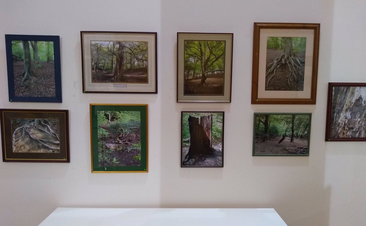 All great art exhibitions go on tour and the @HeritageFundUK funded Gledhow Valley Woods photographic exhibition is no different! The exhibition has moved on from @toastlovecoffee and now is on display at Shine on Harehills Ln (LS8 5HS) Mon-Fri 8am-8pm. 😀📷👍