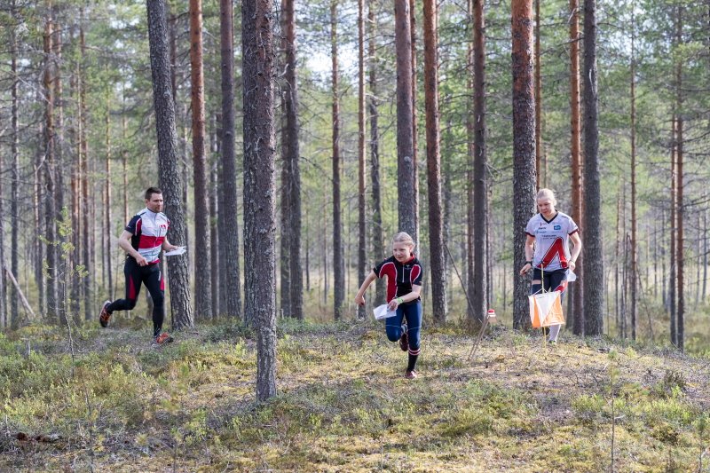 Kainuuoweek's tweet photo. In these terrains we enjoy orienteering in the @Kainuuoweek 2020 event🥳 - entry now with lower fees 👉 until 28 Feb 2020 at 23.59👍😎
#kainuuoweek #kainuuorienteeringweek #orienteering #orientering #openorienteering #orienteeringweek #finnishorienteeringweek https://t.co/RfLc8VuIRc