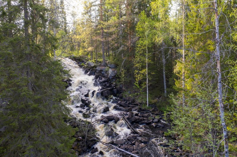 Kainuuoweek's tweet photo. In these terrains we enjoy orienteering in the @Kainuuoweek 2020 event🥳 - entry now with lower fees 👉 until 28 Feb 2020 at 23.59👍😎
#kainuuoweek #kainuuorienteeringweek #orienteering #orientering #openorienteering #orienteeringweek #finnishorienteeringweek https://t.co/RfLc8VuIRc