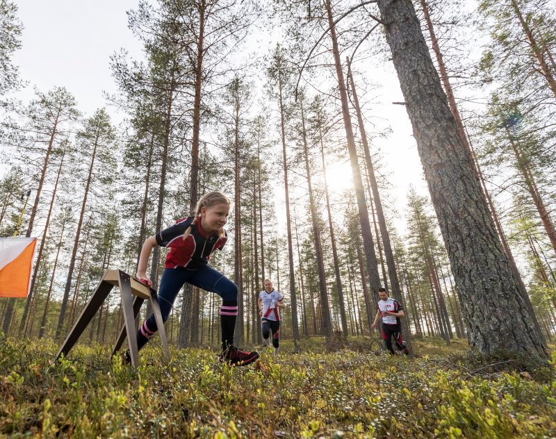 Kainuuoweek's tweet photo. In these terrains we enjoy orienteering in the @Kainuuoweek 2020 event🥳 - entry now with lower fees 👉 until 28 Feb 2020 at 23.59👍😎
#kainuuoweek #kainuuorienteeringweek #orienteering #orientering #openorienteering #orienteeringweek #finnishorienteeringweek https://t.co/RfLc8VuIRc