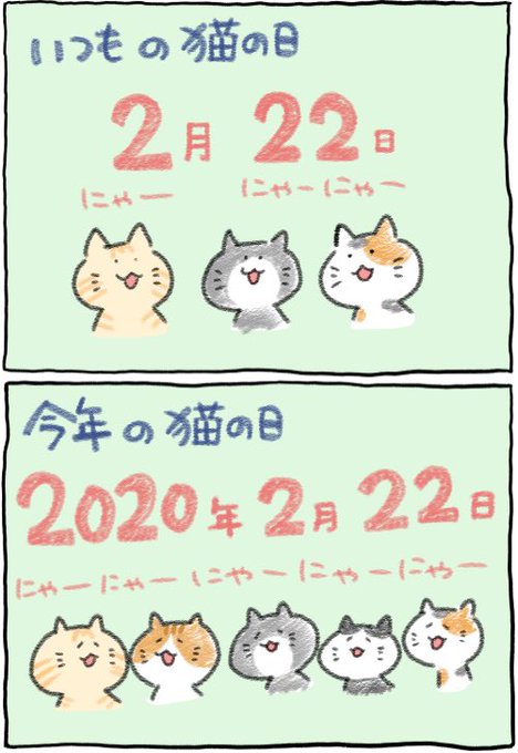 #猫の日 