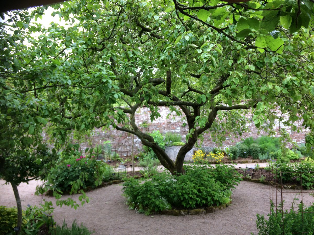 HeatherBirkett1's tweet photo. Would you like to work for the National Trust? Acorn Bank Garden are recruiting for a new team member - check out the advert https://t.co/AJsPCF5mdb
Closing date 5th March 2020. https://t.co/bJS8sxMv5S