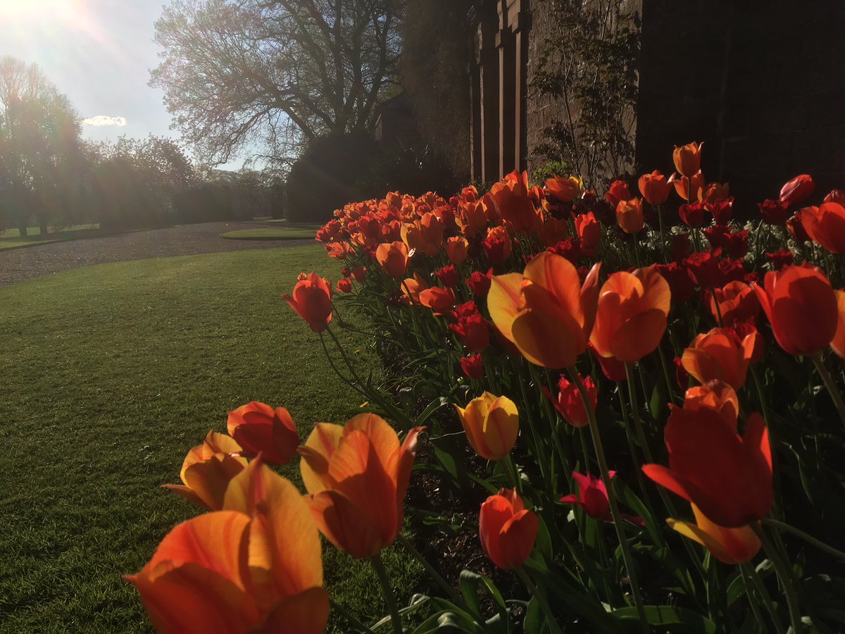 Would you like to work for the National Trust? Acorn Bank Garden are recruiting for a new team member - check out the advert careers.nationaltrust.org.uk/OA_HTML/a/#/va…
Closing date 5th March 2020.