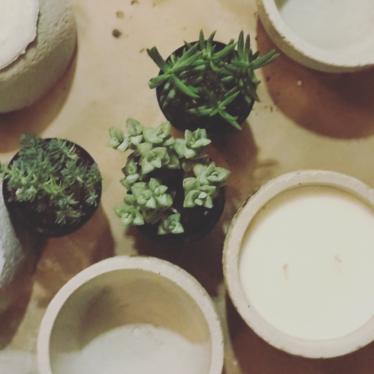 🌿🌱🕯♻️♻️
Did we mention our concrete vessels are made by hand and make great planters once the candle life has expired?