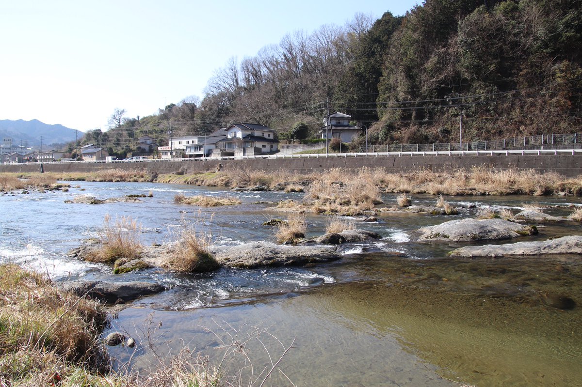 omgrrr09's tweet photo. 豆が17年間過ごしてきた場所かと思うと、ただただ、、エモエモのエモだった、、 (しみじみ) https://t.co/ZB62Zuooag