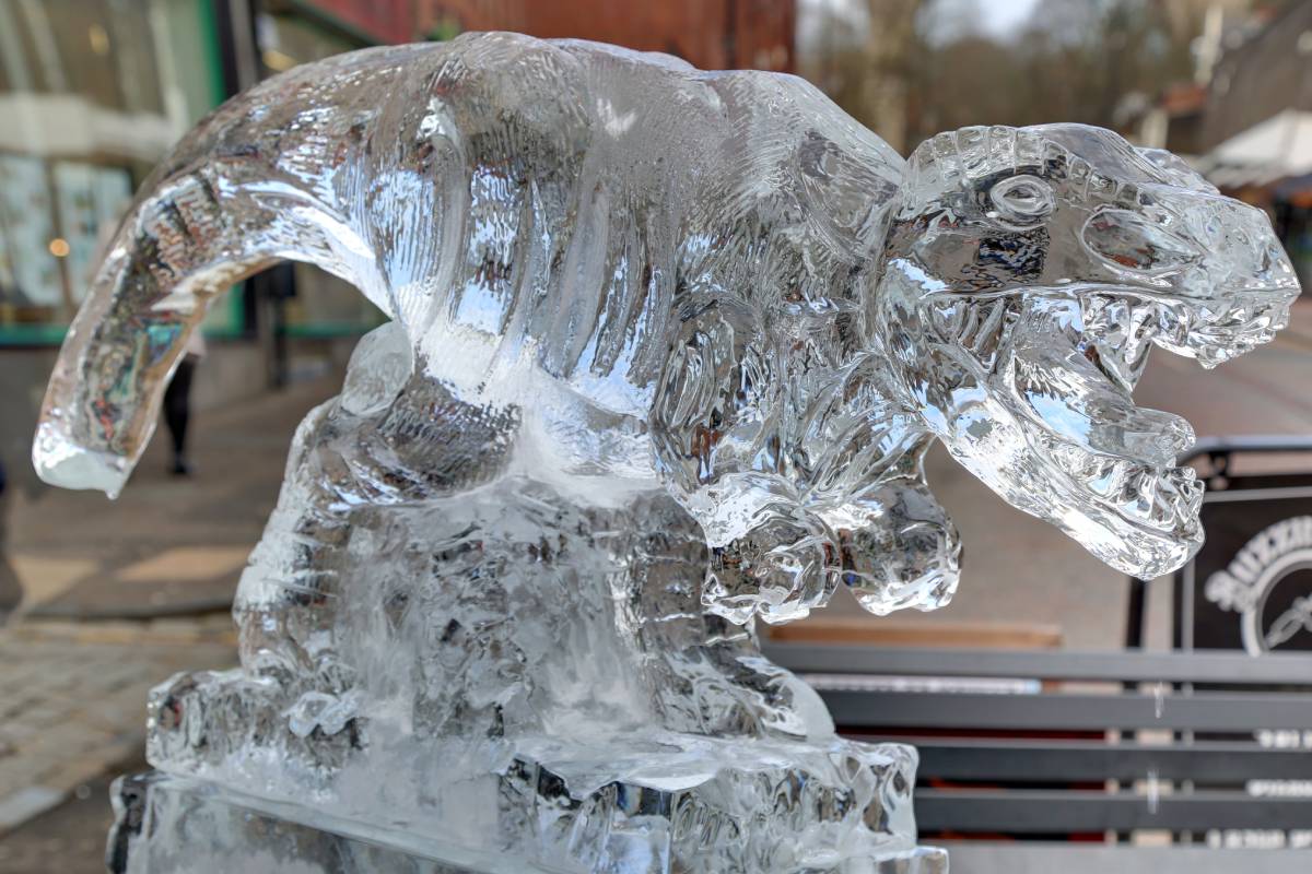 Quite a mixture of sculptures at the #Durham #fireandice festival! See them all here: explorar.co.uk/durham/events/… <a href="/DurhamBID/">Life InDurham by Durham BID</a>
