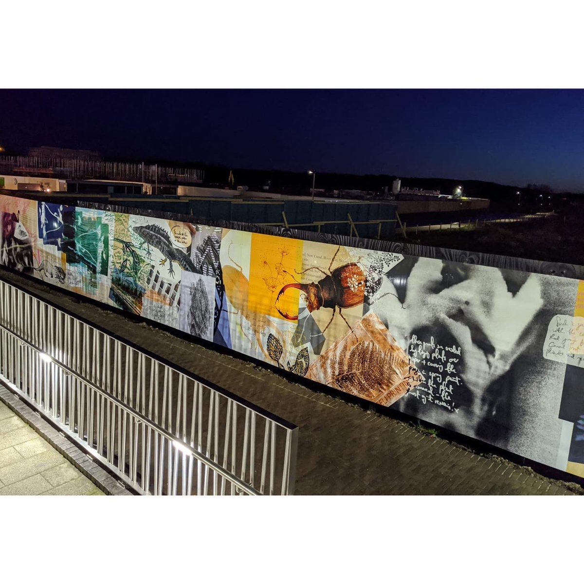 kerryannelemon's tweet photo. SO delighted with my new 100x meter artwork for Wichelstowe installed yesterday.

A GIANT sketchbook of my drawings, prints, paintings and notes, researching the flora and fauna of the new canal side development 💗 https://t.co/lXAxE5P1SA