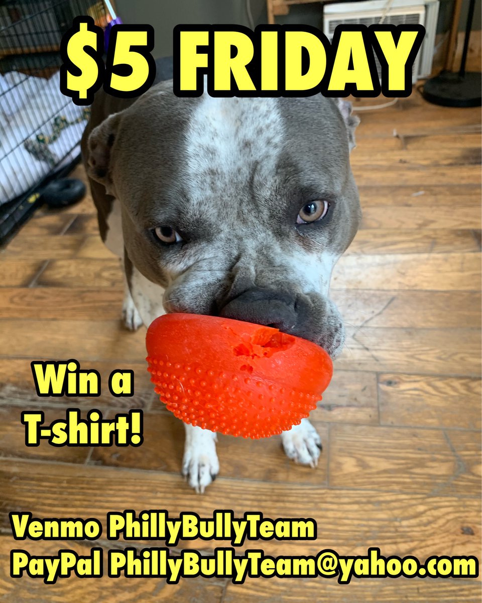 phillybullyteam's tweet photo. Every $5 donation is a chance to win a PHBT t shirt! https://t.co/LHilsNycRf